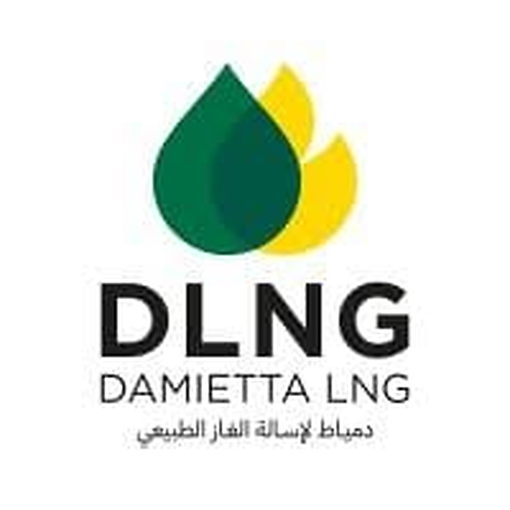 DLNG — Damietta LNG logo — Liquefied Natural Gas. Client of Egyptian International Group (EIG).